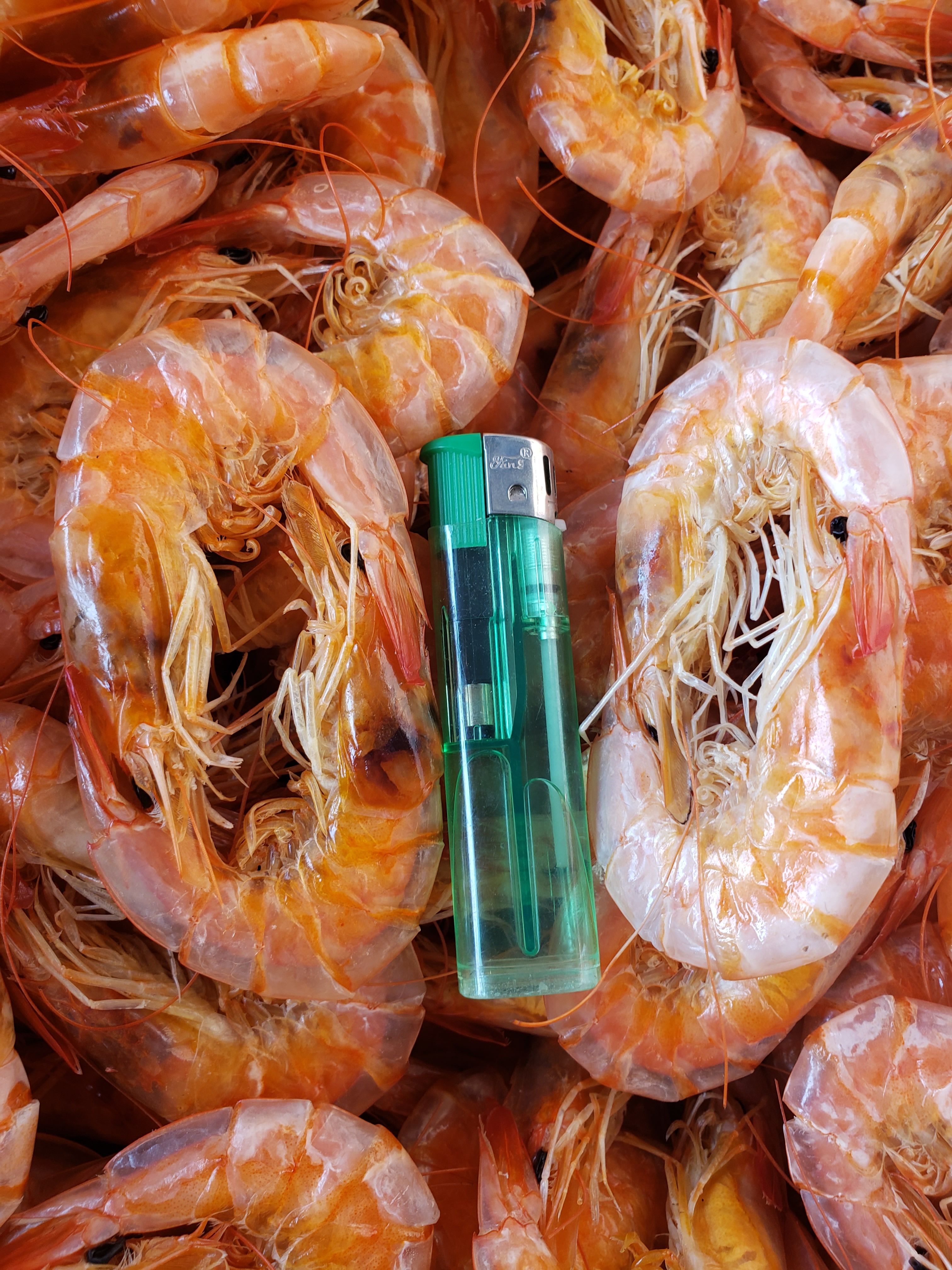 现有精品烤虾干，个头大，干度好，味道美丽