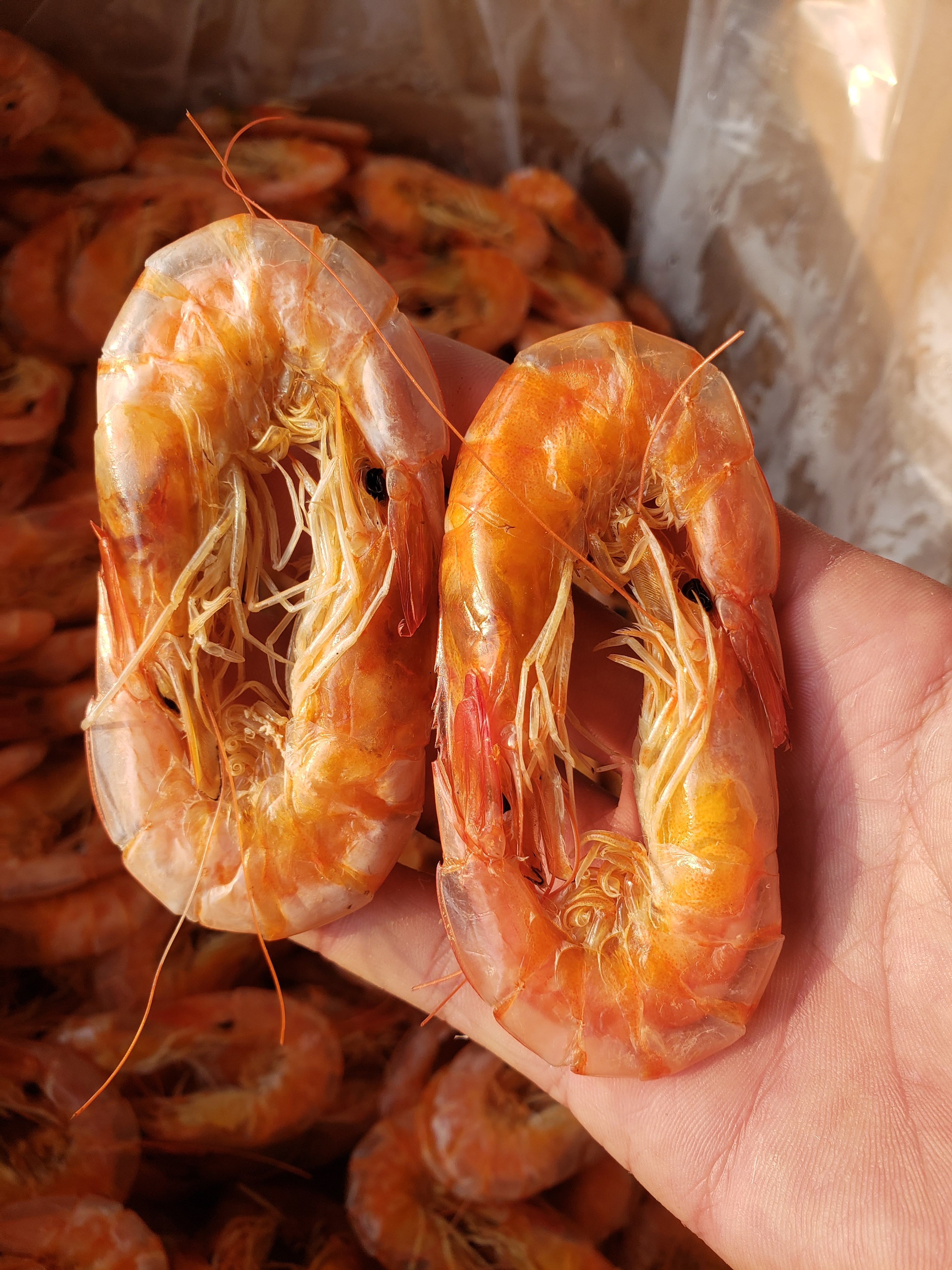 现有精品烤虾干，个头大，干度好，味道美丽