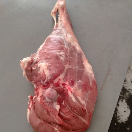 天津羊肉类  精品羔羊后腿！带2块骨头！