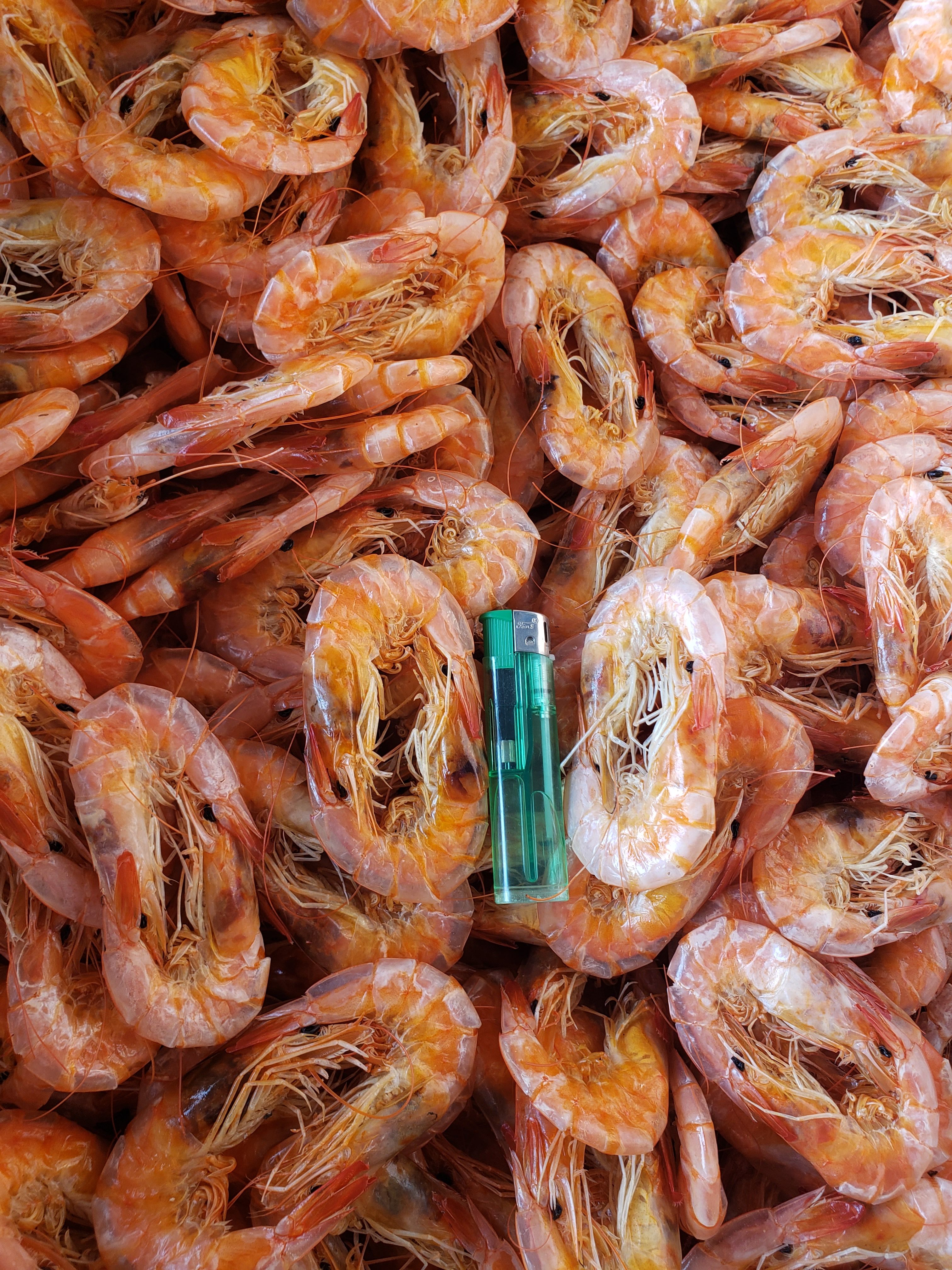 现有精品烤虾干，个头大，干度好，味道美丽