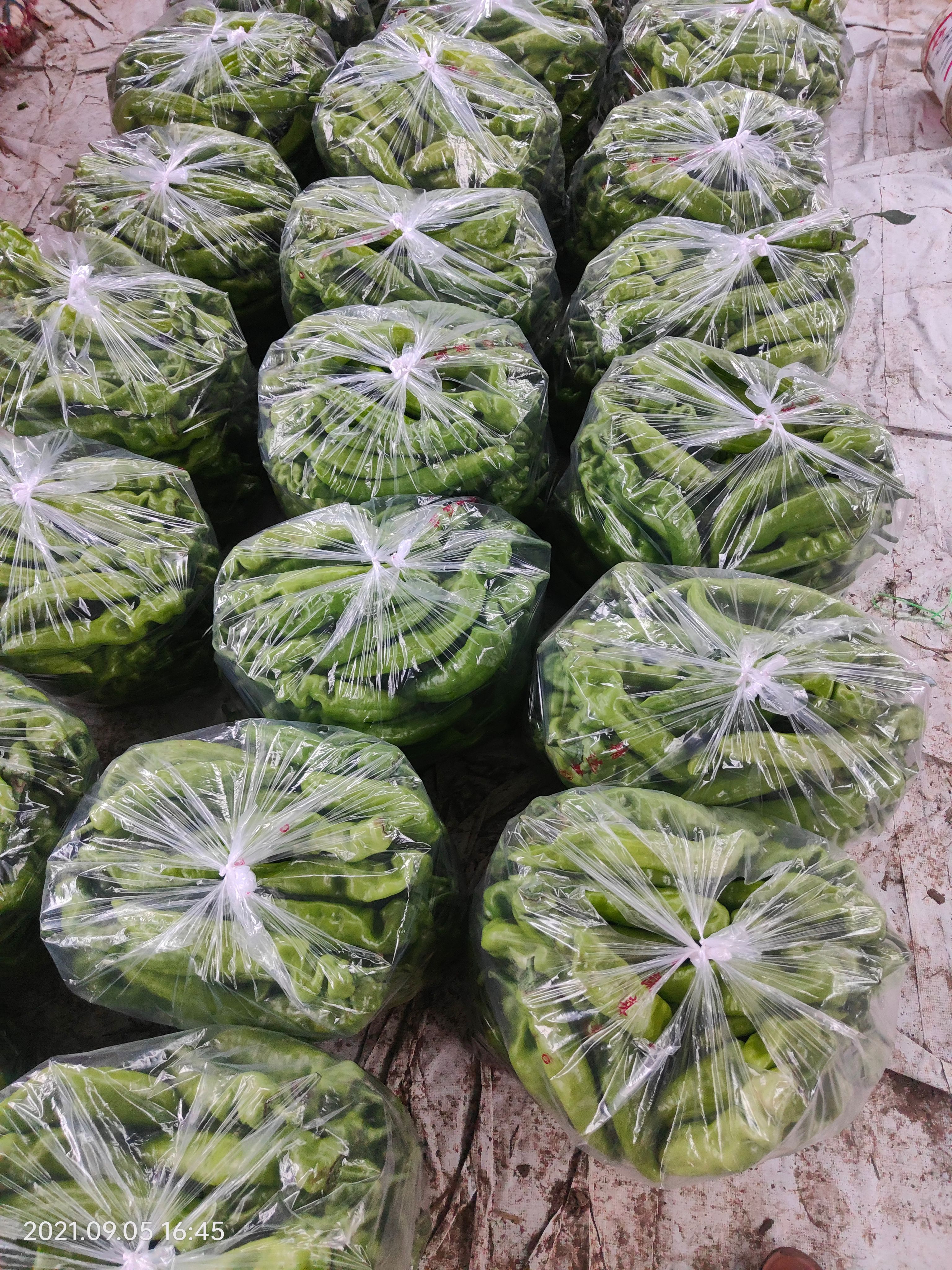 优质尖椒，薄皮尖椒，青椒产地直发协助找车