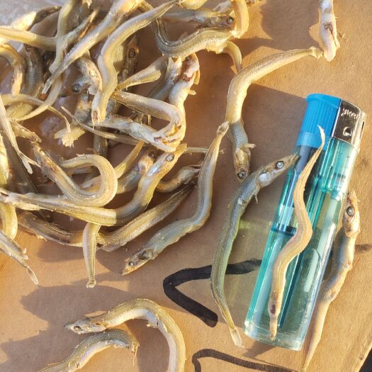 滨州现有精品银针鱼干，干度好，盐分低，味道鲜美
