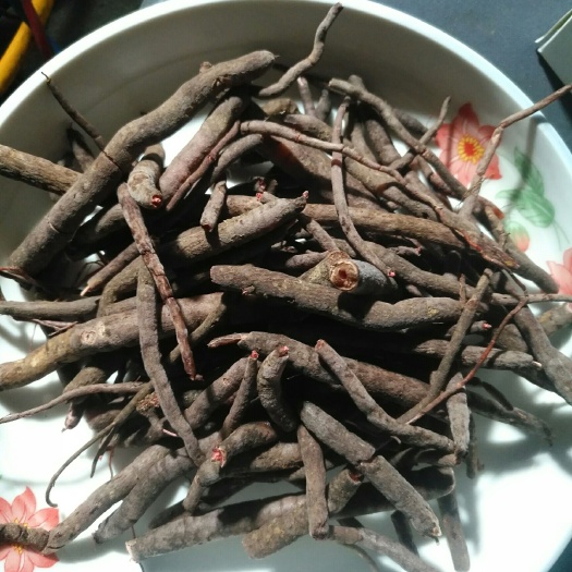 丽江红果参  小红参(山林野生)