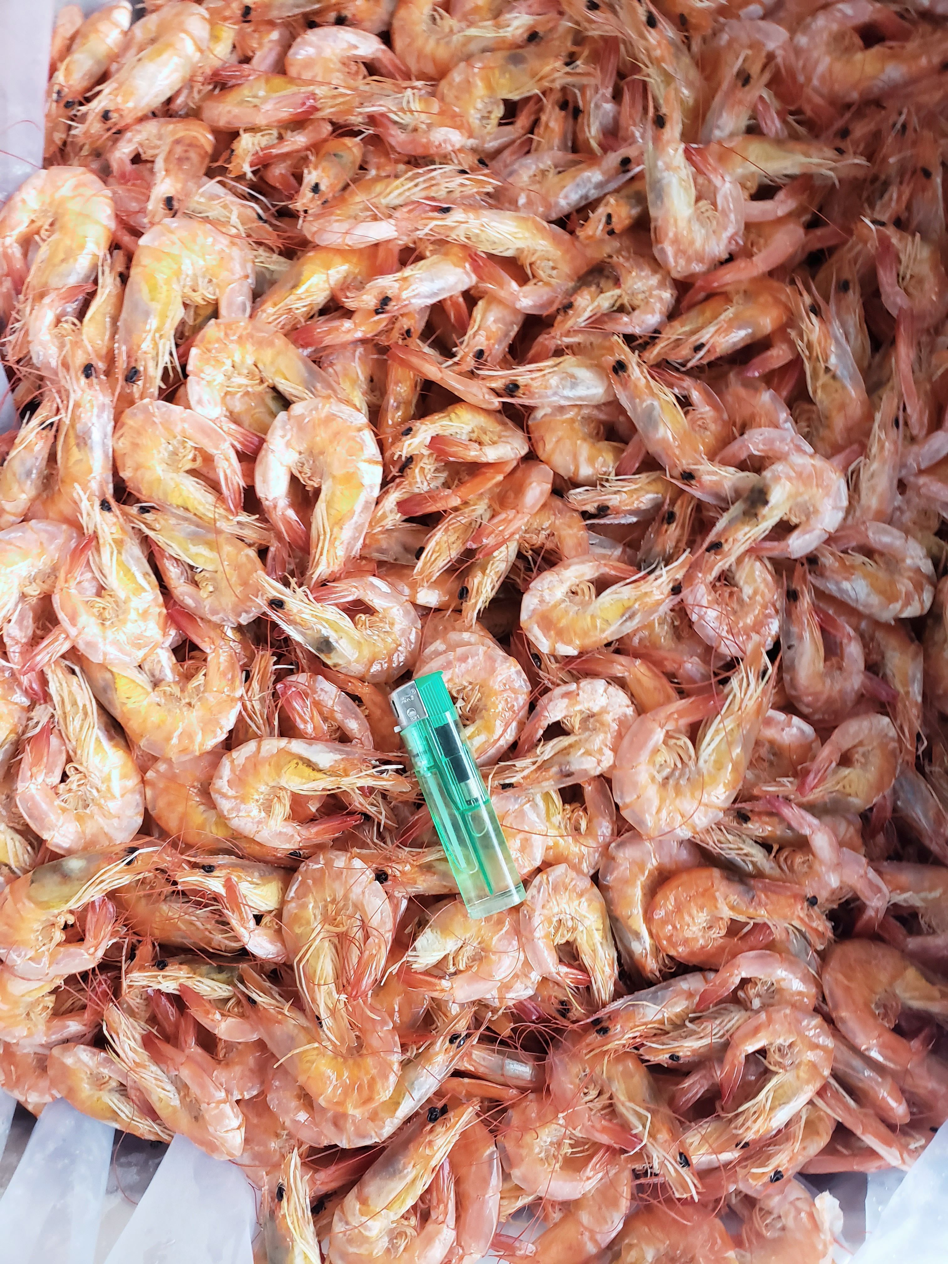 精品烤虾干，颜色漂亮，味道鲜美