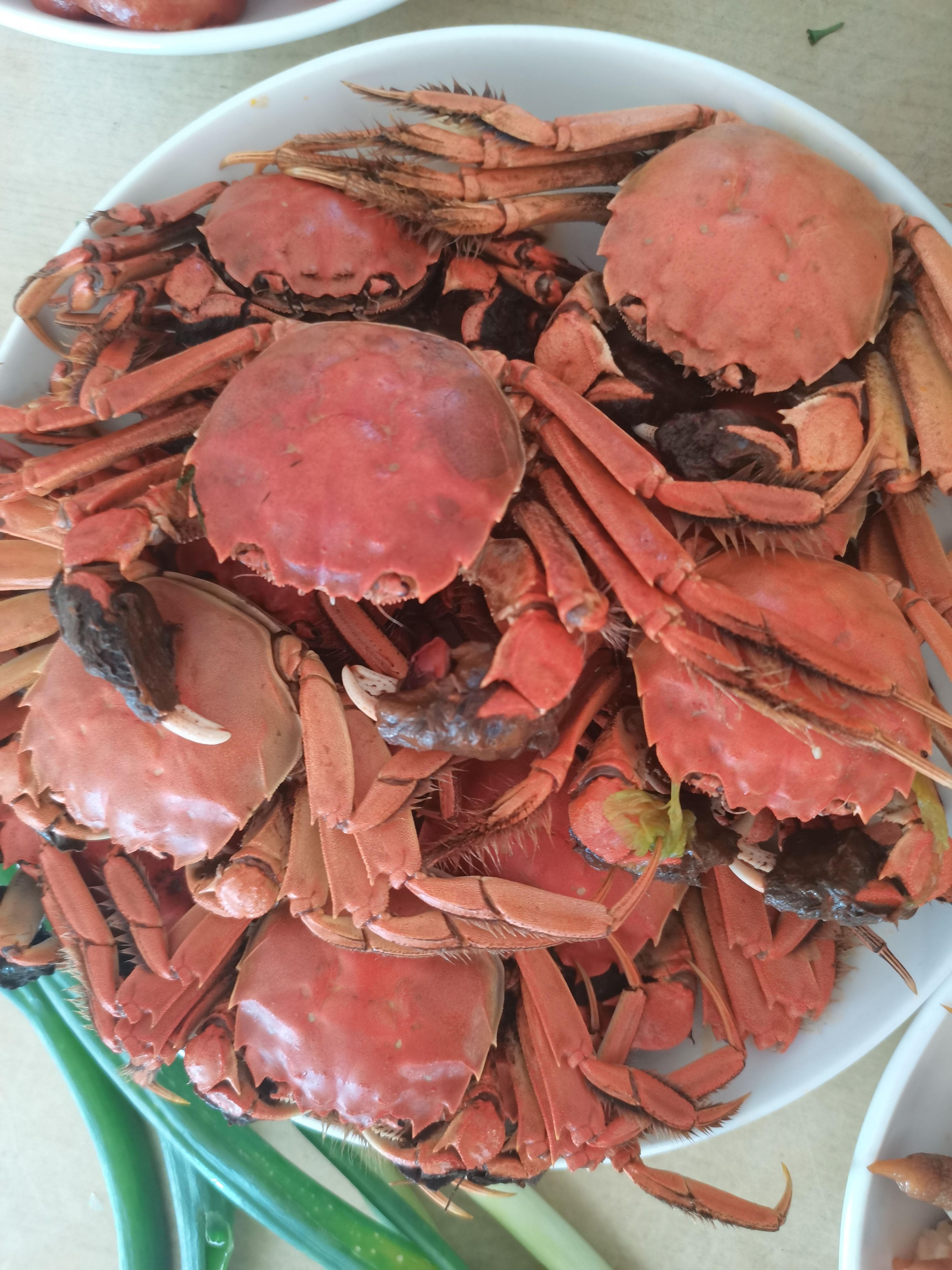 盘锦稻田蟹，水库蟹！