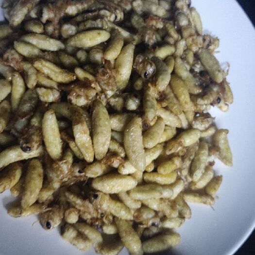 苍溪县土蜂蛹 马蜂蛹