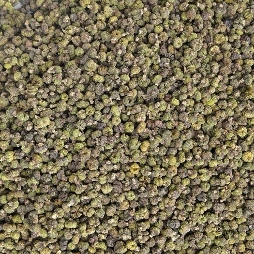 河池吴茱萸  广西中花小颗粒