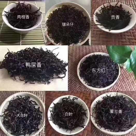 石门县单丛茶  好茶，好单丛。