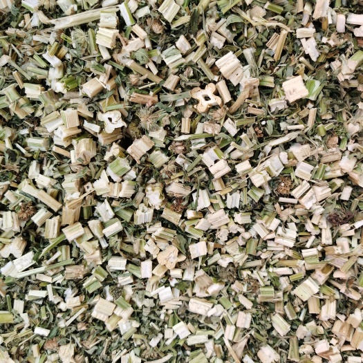 亳州 益母草