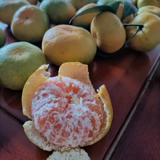 寻乌县 寻乌蜜桔，地理标志农产品。皮薄如纸，甜蜜中带微酸，就是贵了点