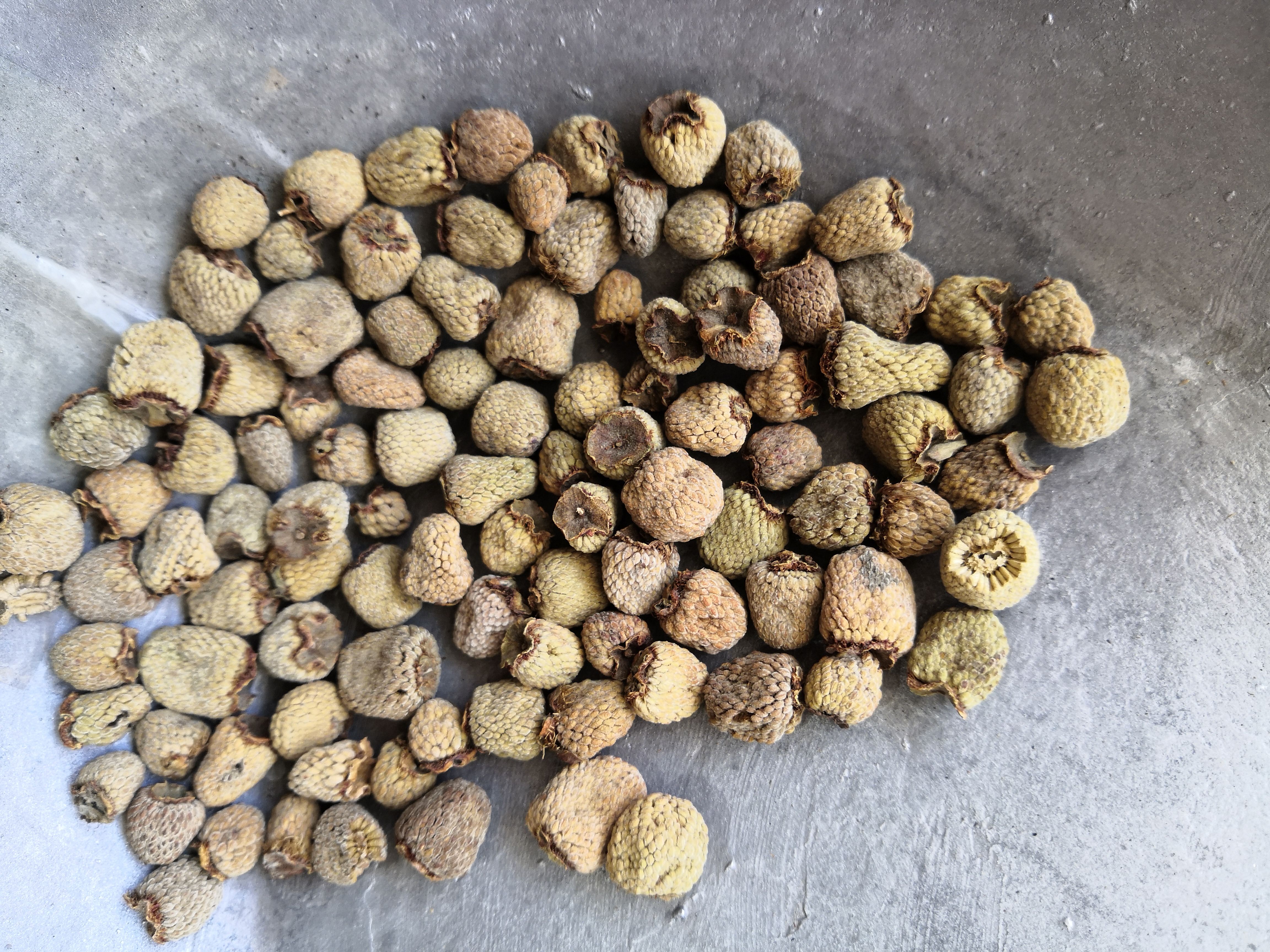 覆盆子 批发零售各种中药材 量大从优