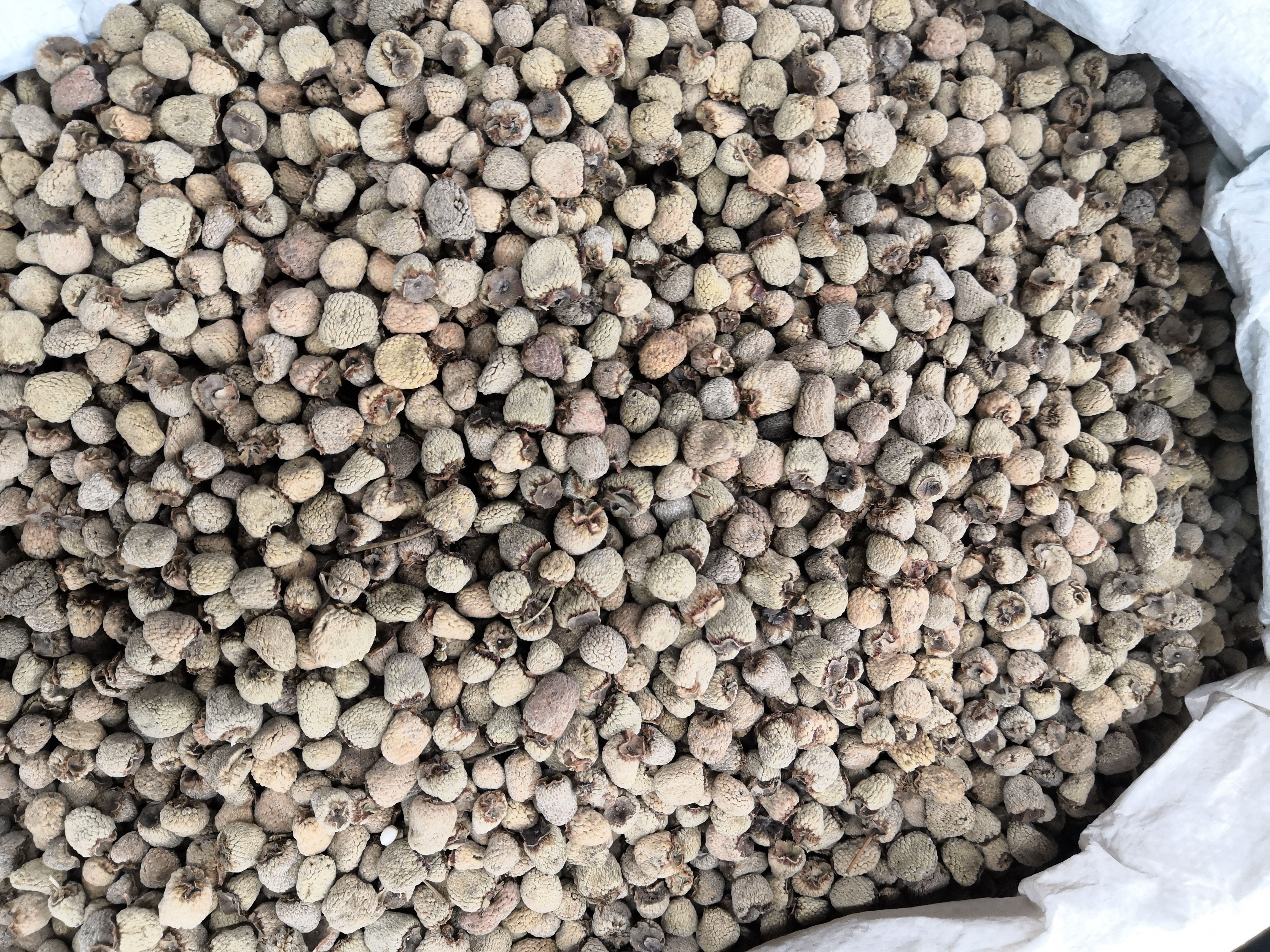 覆盆子 批发零售各种中药材 量大从优