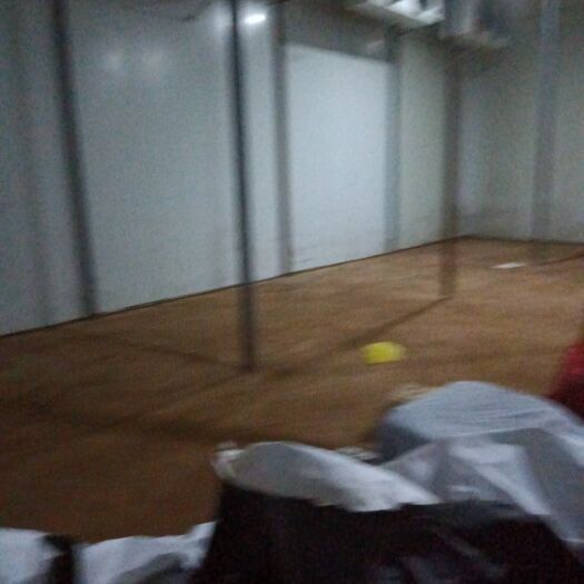 玉龙县冷库租赁 冻库出租