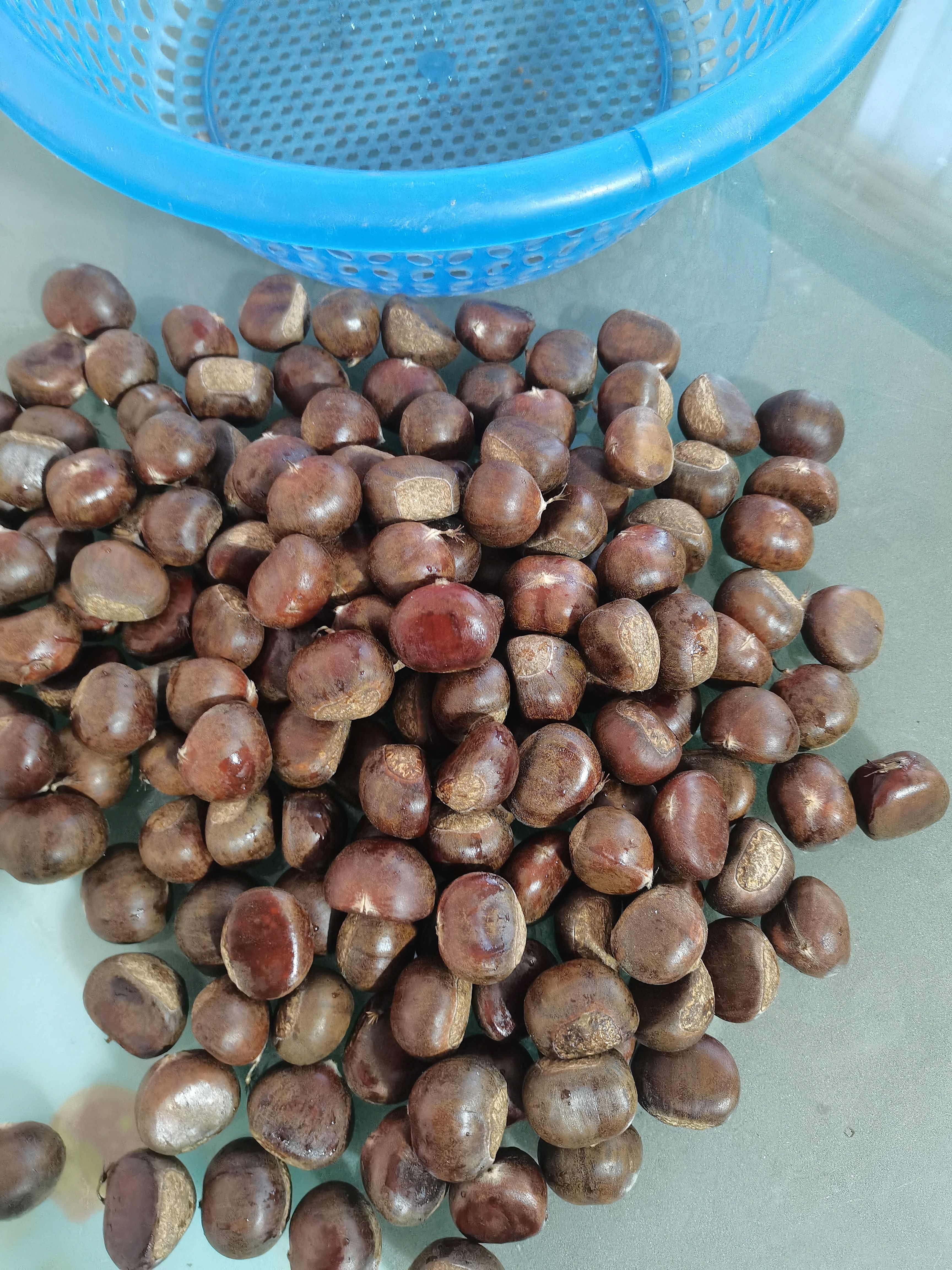 精品迁西板栗    果形饱满无内腐，香甜粉糥  规格齐全