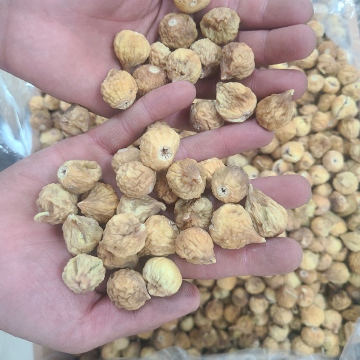 无花果干  无花果 伊朗无花果 量大从优