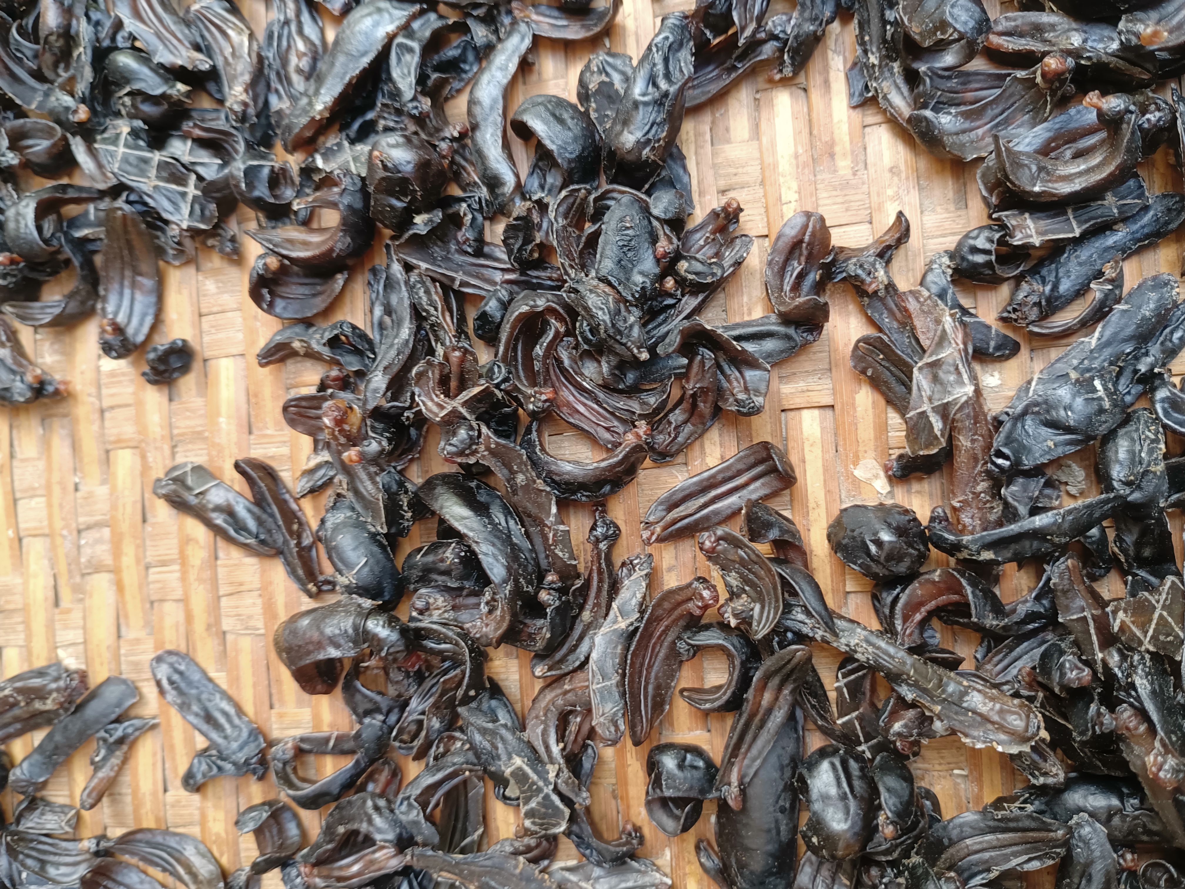 蛞蝓干  鼻涕虫
