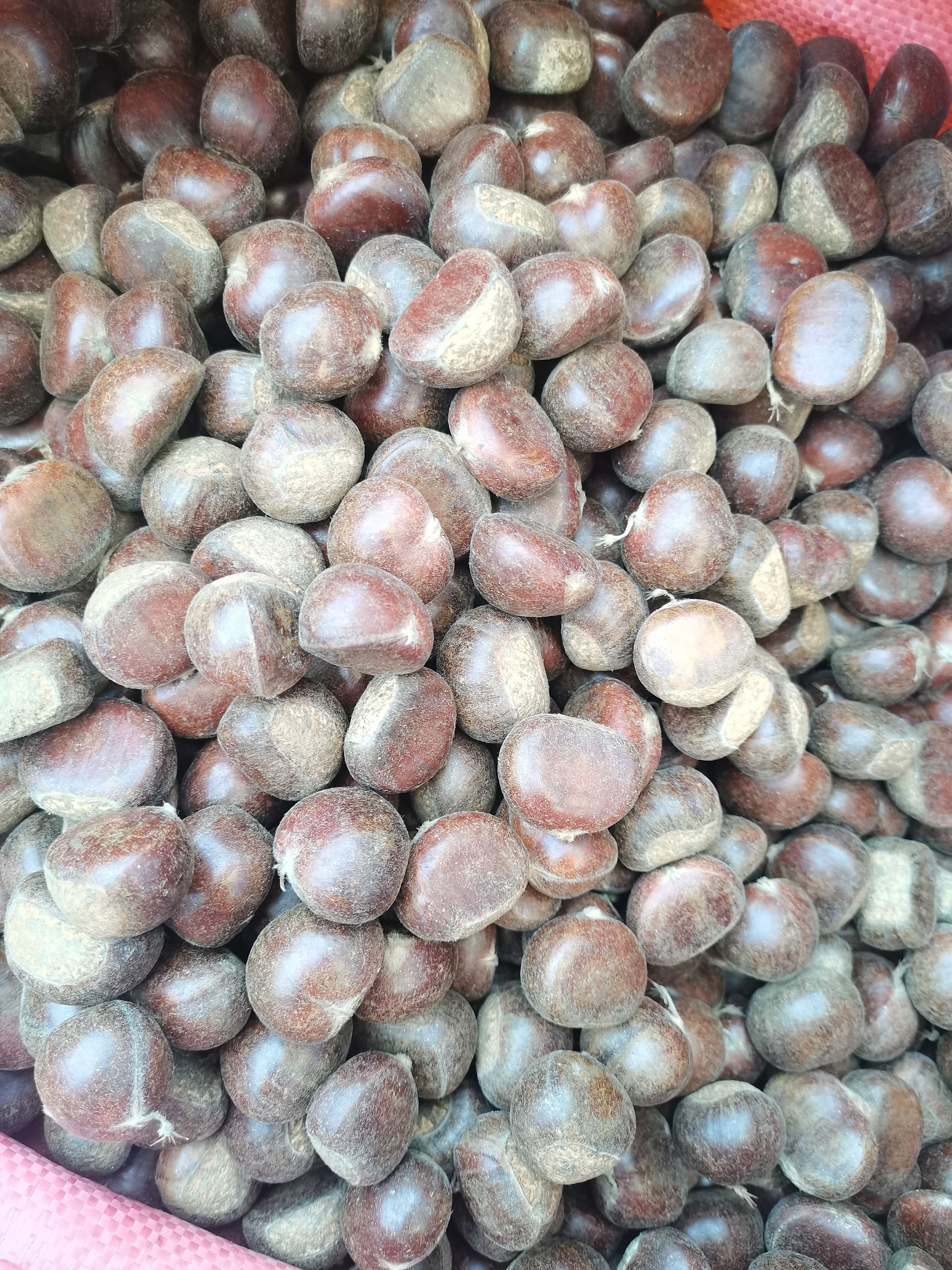 精品迁西板栗    果形饱满无内腐，香甜粉糥  规格齐全