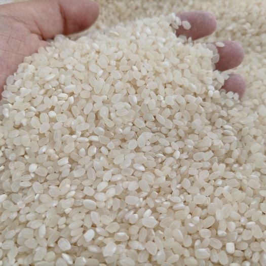 碎米  酒米佳品 大颗粒珍珠米食品级 出酒率白净珍珠