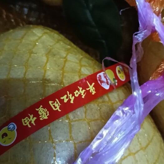 蜜柚