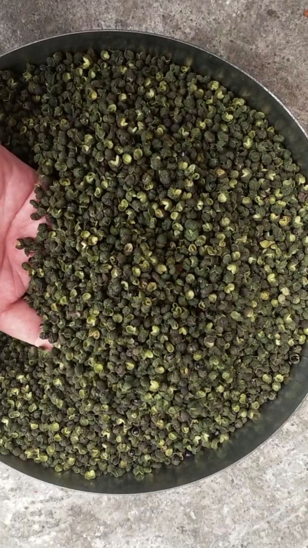 青花椒   特级青花椒