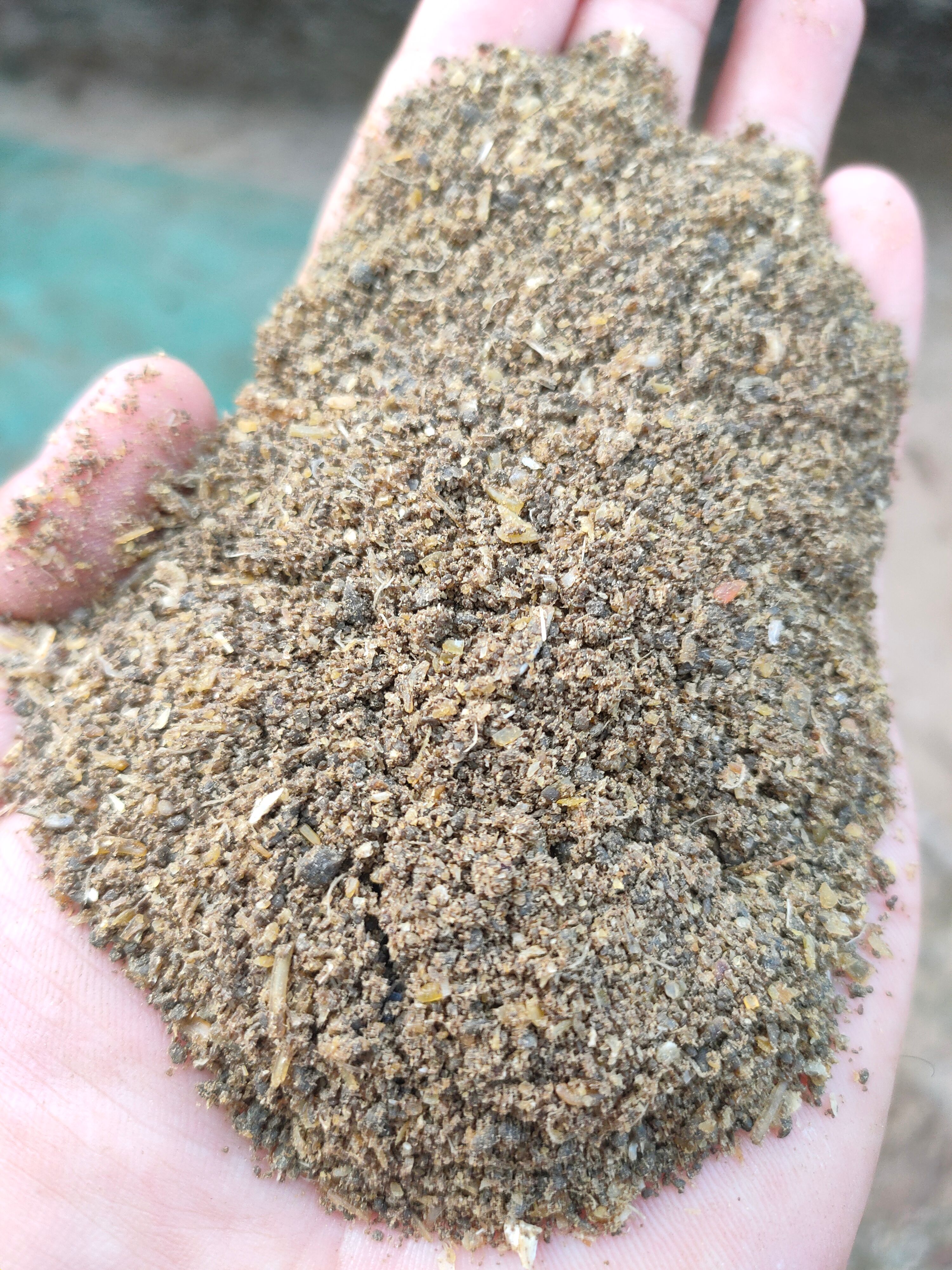 蛋白质补充饲料  渤海蛋鸡蛋鸭专用鱼排粉蛋白47新鲜度80价