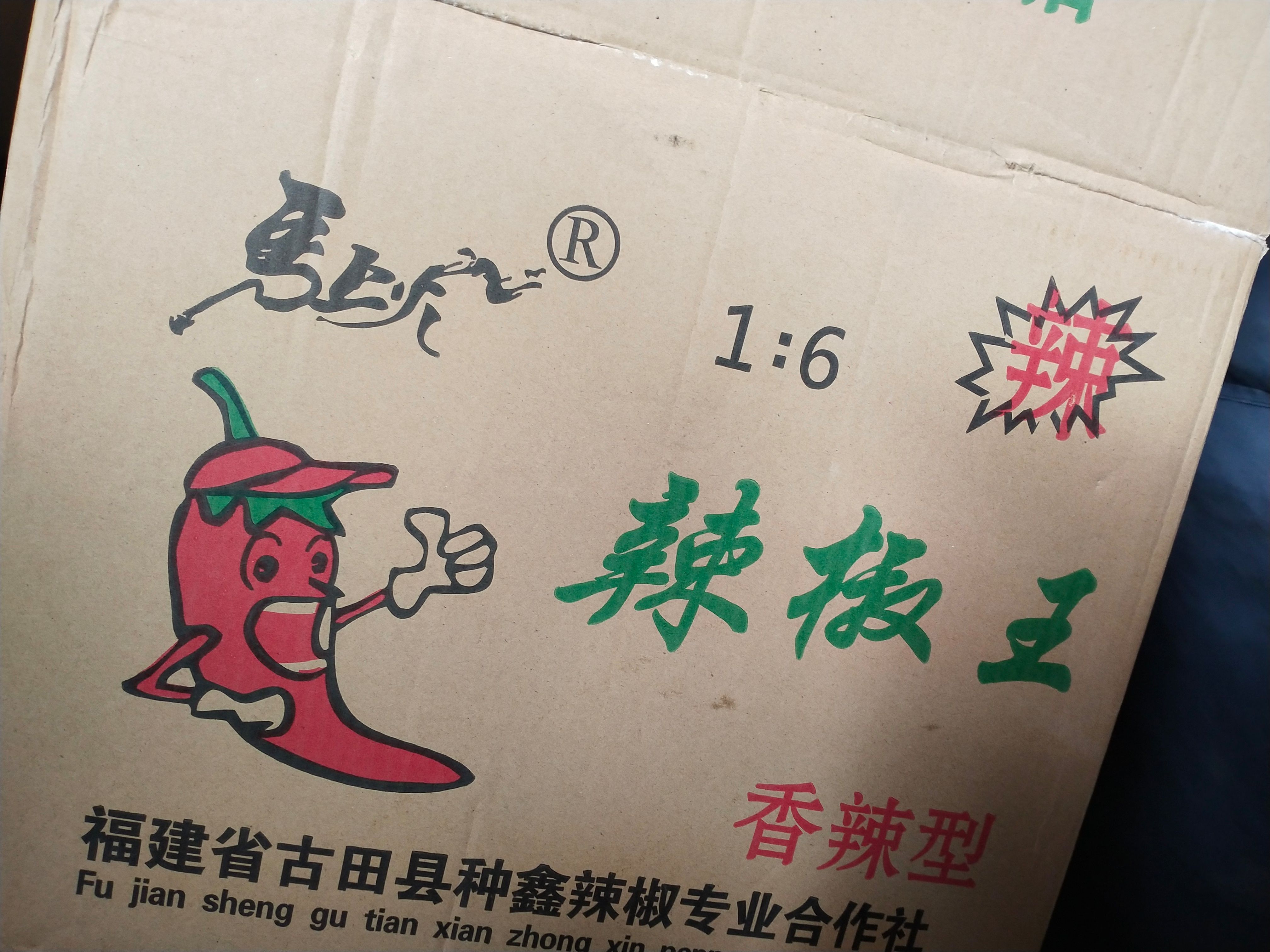 福建辣椒王  河南辣椒王
