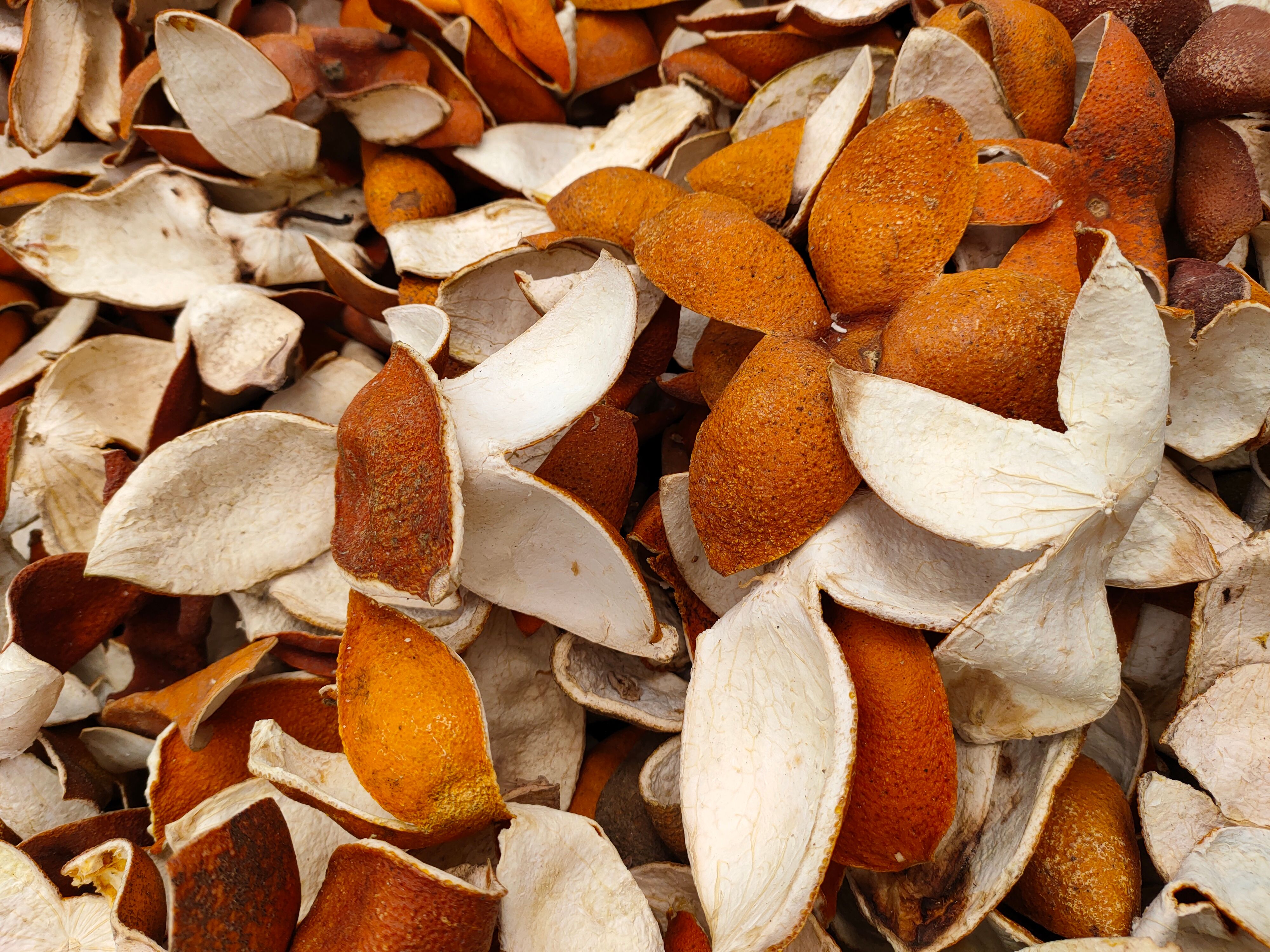 干橙子片 四开橙皮