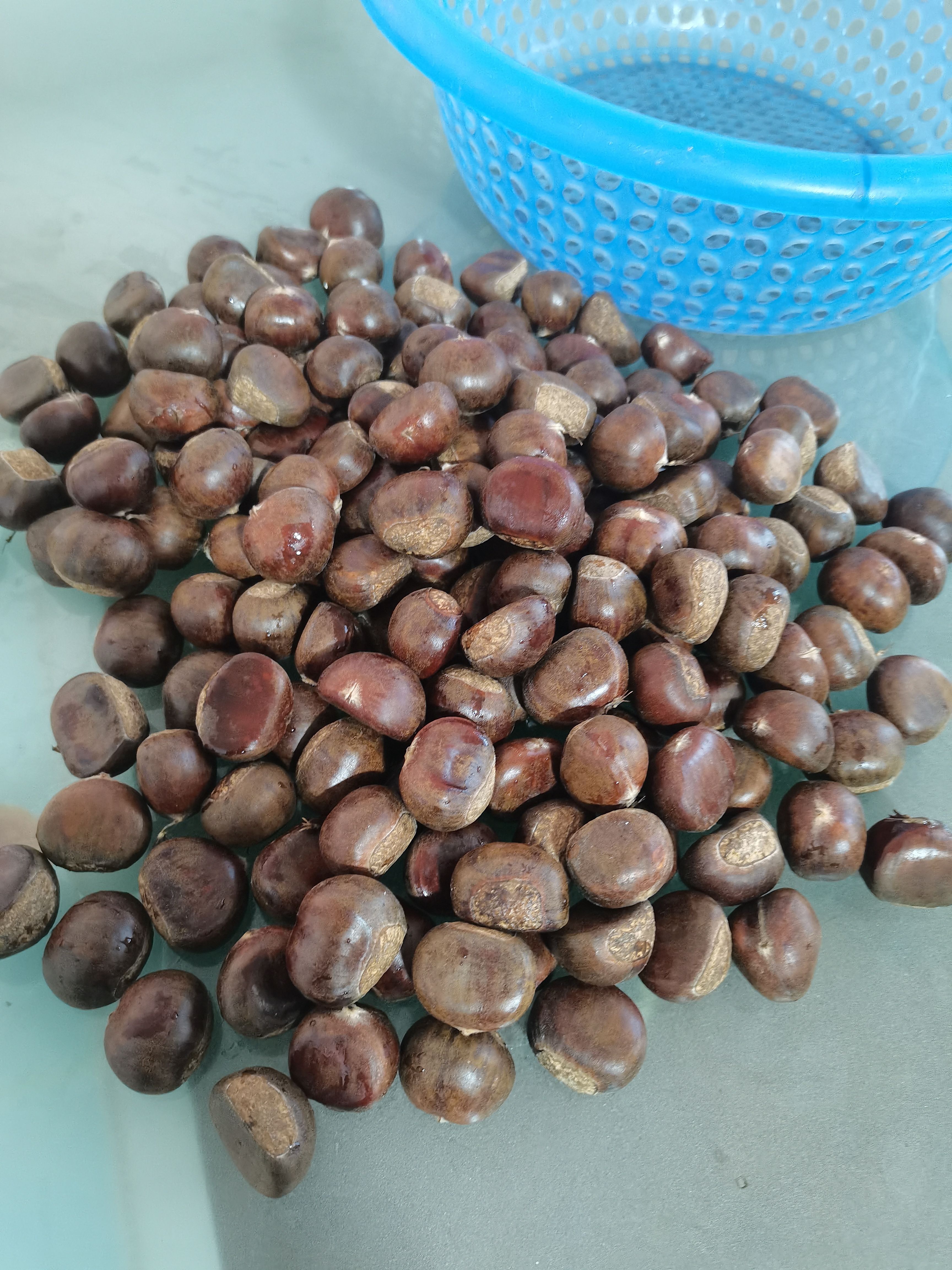 精品迁西板栗    果形饱满无内腐，香甜粉糥  规格齐全