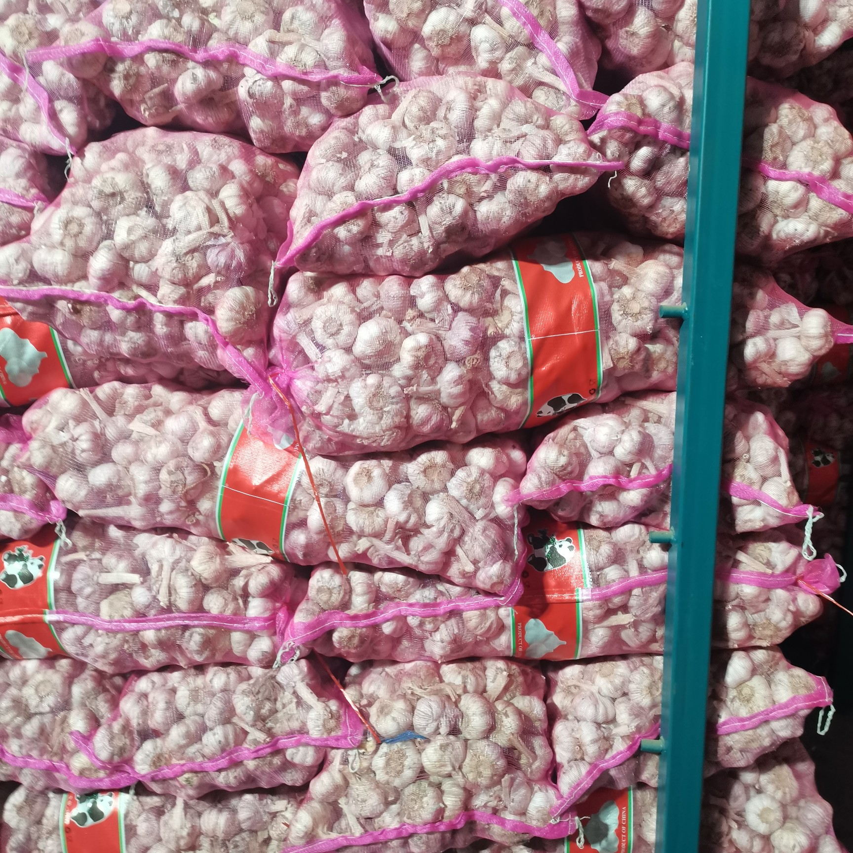 金乡县红皮蒜  紫皮大蒜，量大从优，可以精加工包装，冷库储存