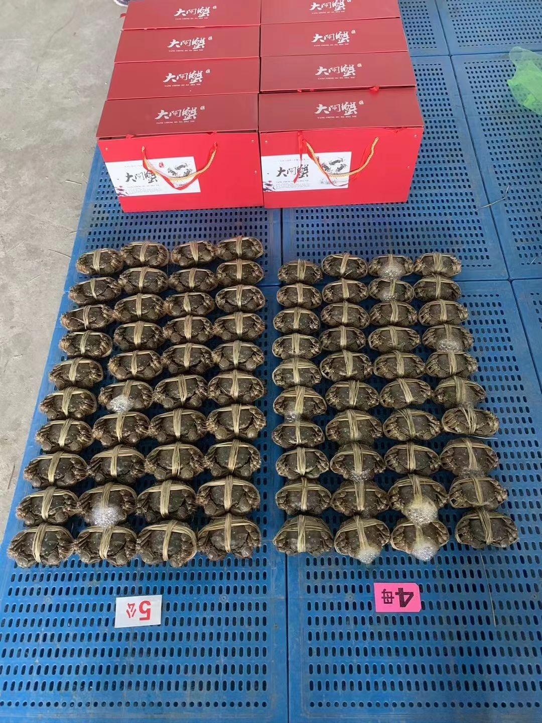 江苏兴化大闸蟹现货