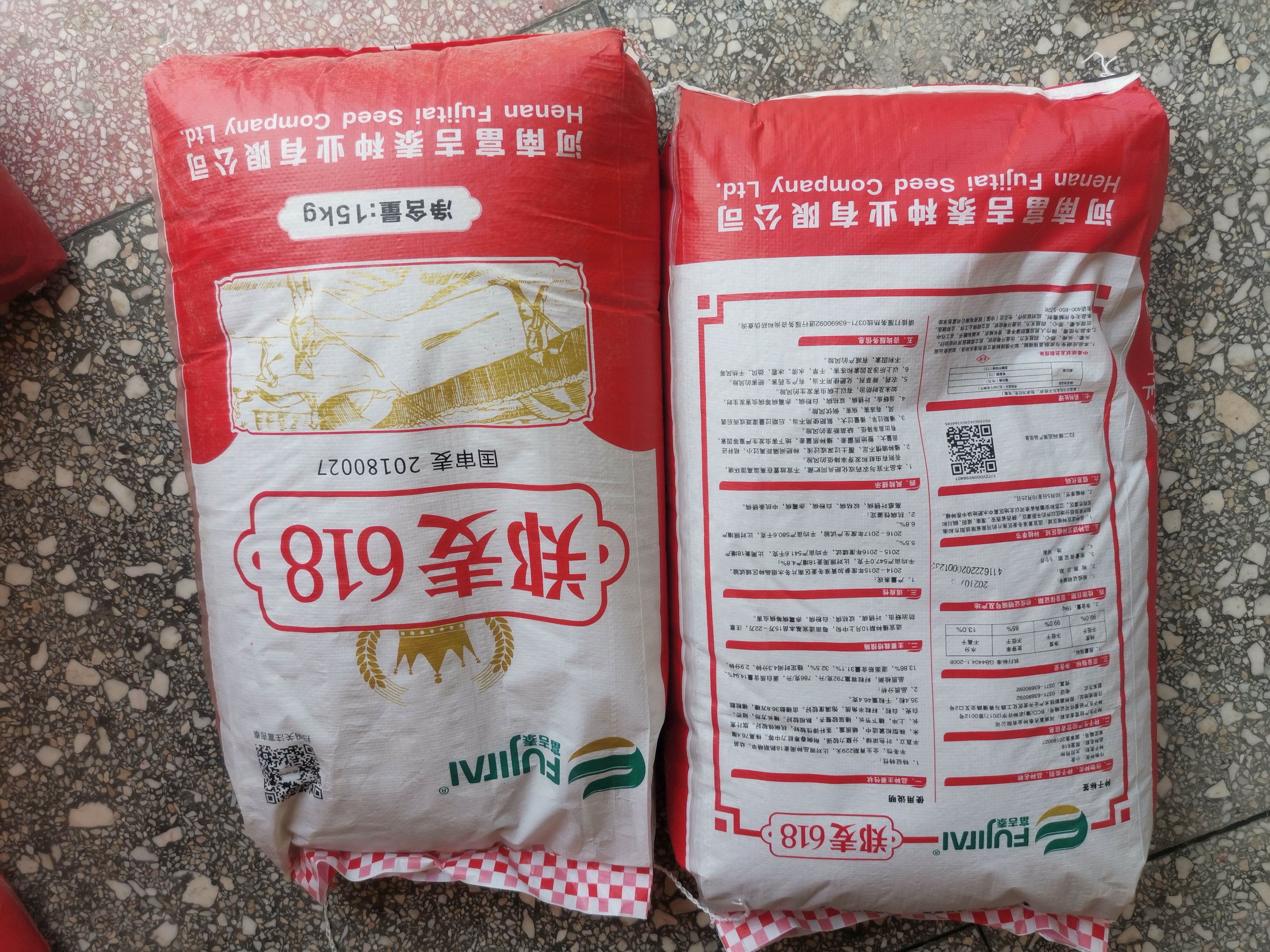 葉縣小麥種子優質高產小麥種籽鄭麥618矮桿大穗抗倒抗病落黃好產量