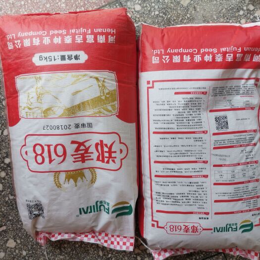 叶县小麦种子优质高产小麦种籽郑麦618矮杆大穗抗倒抗病落黄好产量