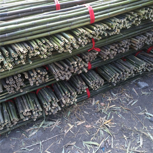 乐安县 小菜架竹苦竹麻竹各种小竹子80公分长，50根一梱40元一梱。