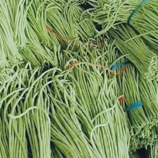合浦县广西合浦优质长豆角大量上市，手快有！！