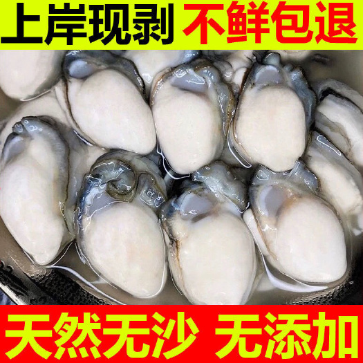 【现剥现发】新鲜生蚝生蚝肉鲜活生蚝去壳当天现剥海蛎