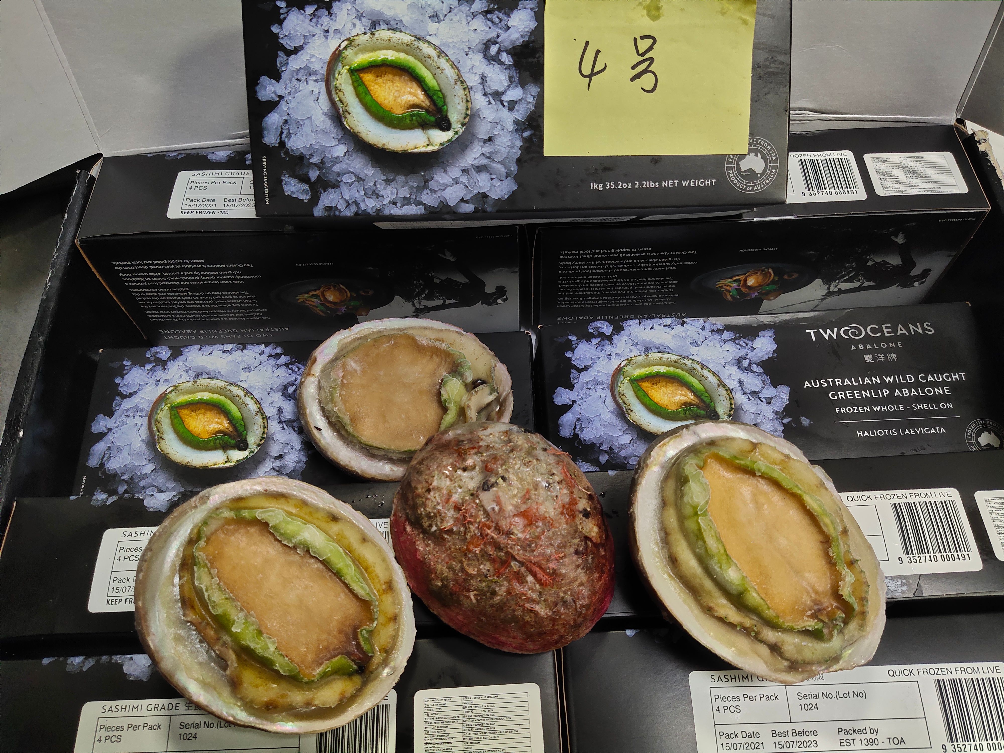  澳洲翡翠鲍（青边鲍），活冻生食级别