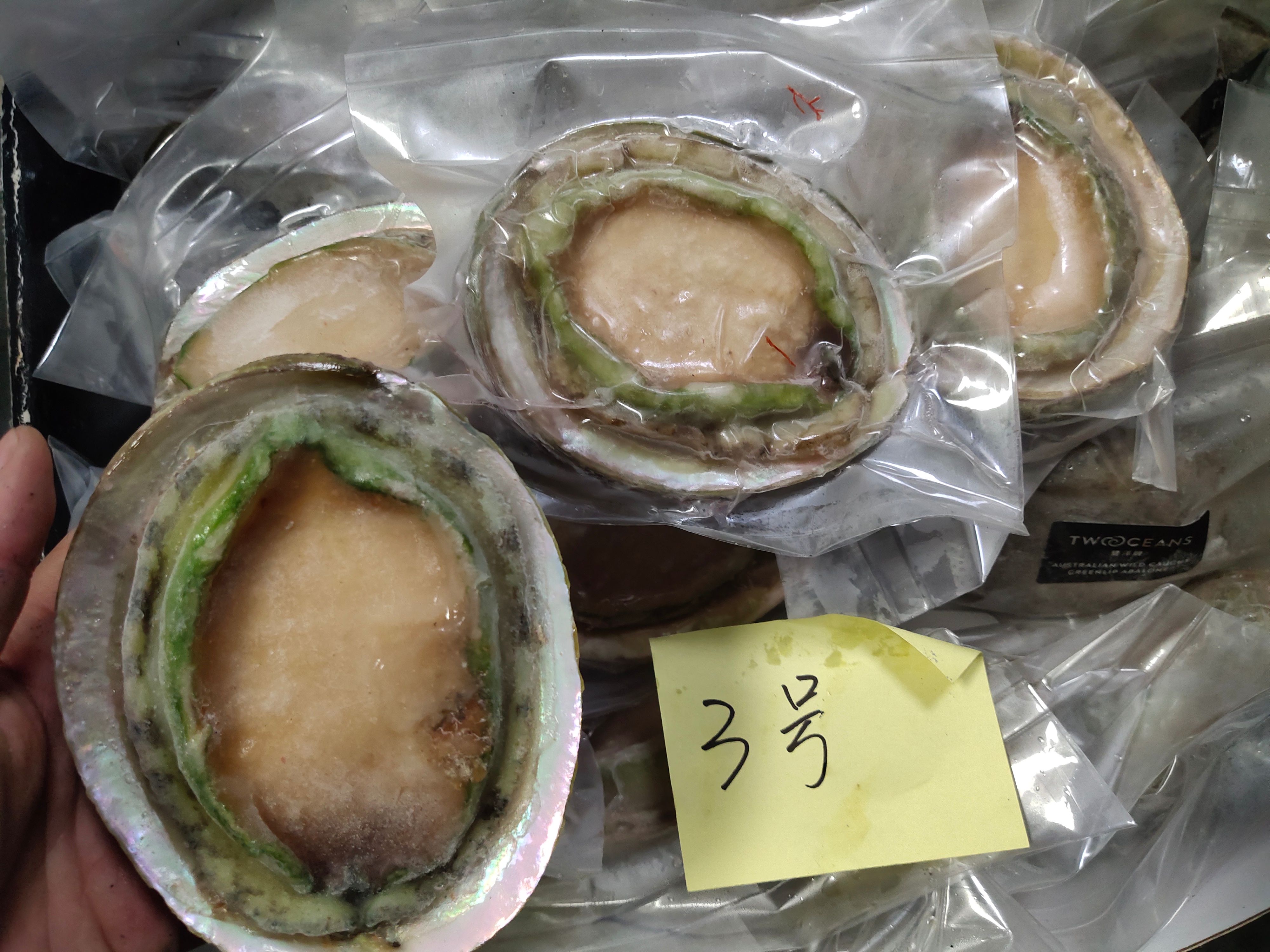  澳洲翡翠鲍（青边鲍），活冻生食级别