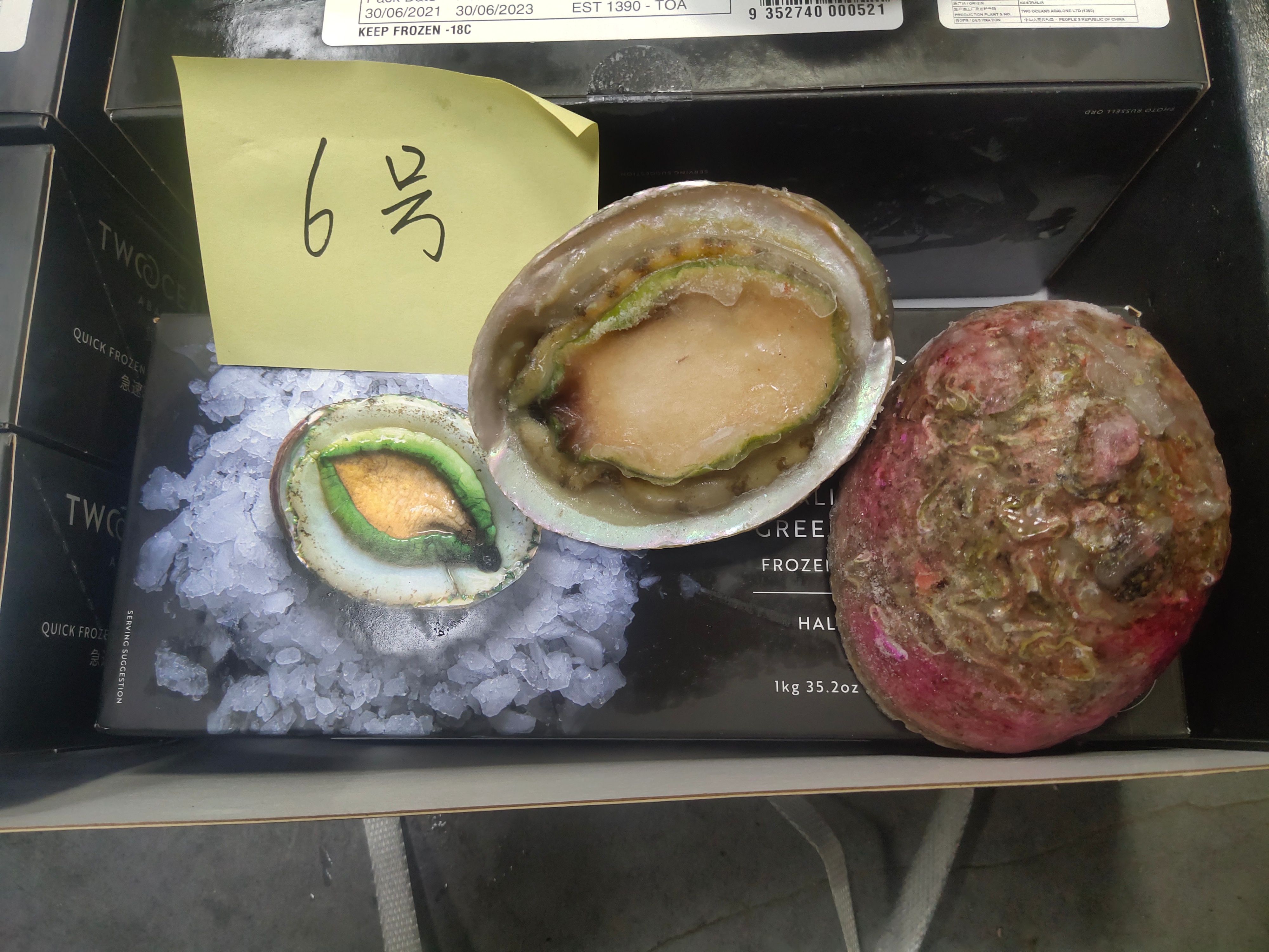  澳洲翡翠鲍（青边鲍），活冻生食级别