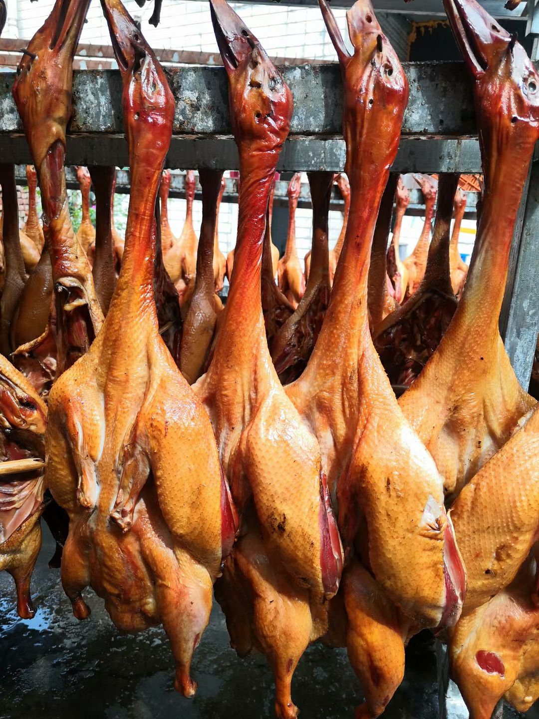 鸭肉类  九尺板鸭，专业定制肉鸭，花边鸭