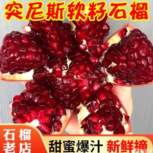 荥阳市突尼斯软籽石榴 四川会理软籽石榴不用吐籽的软石榴包邮 包售后