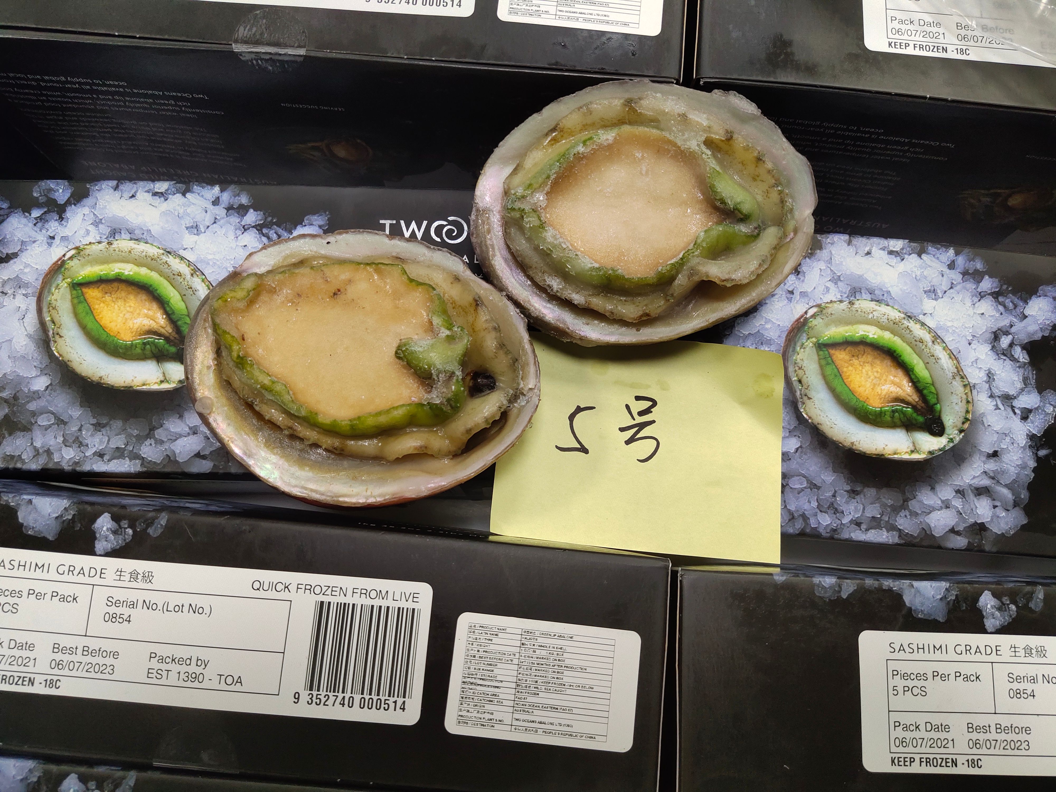  澳洲翡翠鲍（青边鲍），活冻生食级别