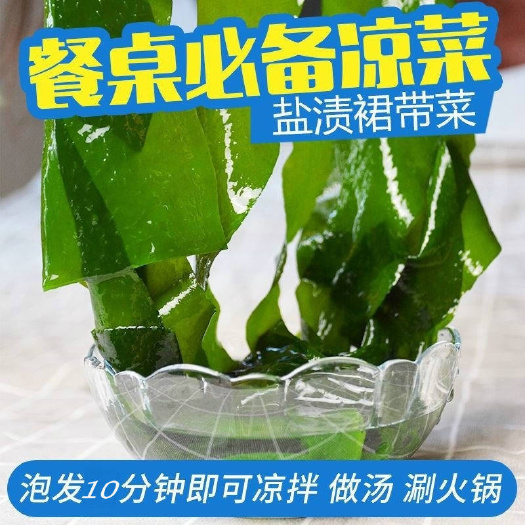 大连盐渍裙带菜海白菜海藻菜海带裙带菜凉拌菜麻辣烫火锅食材产地直供