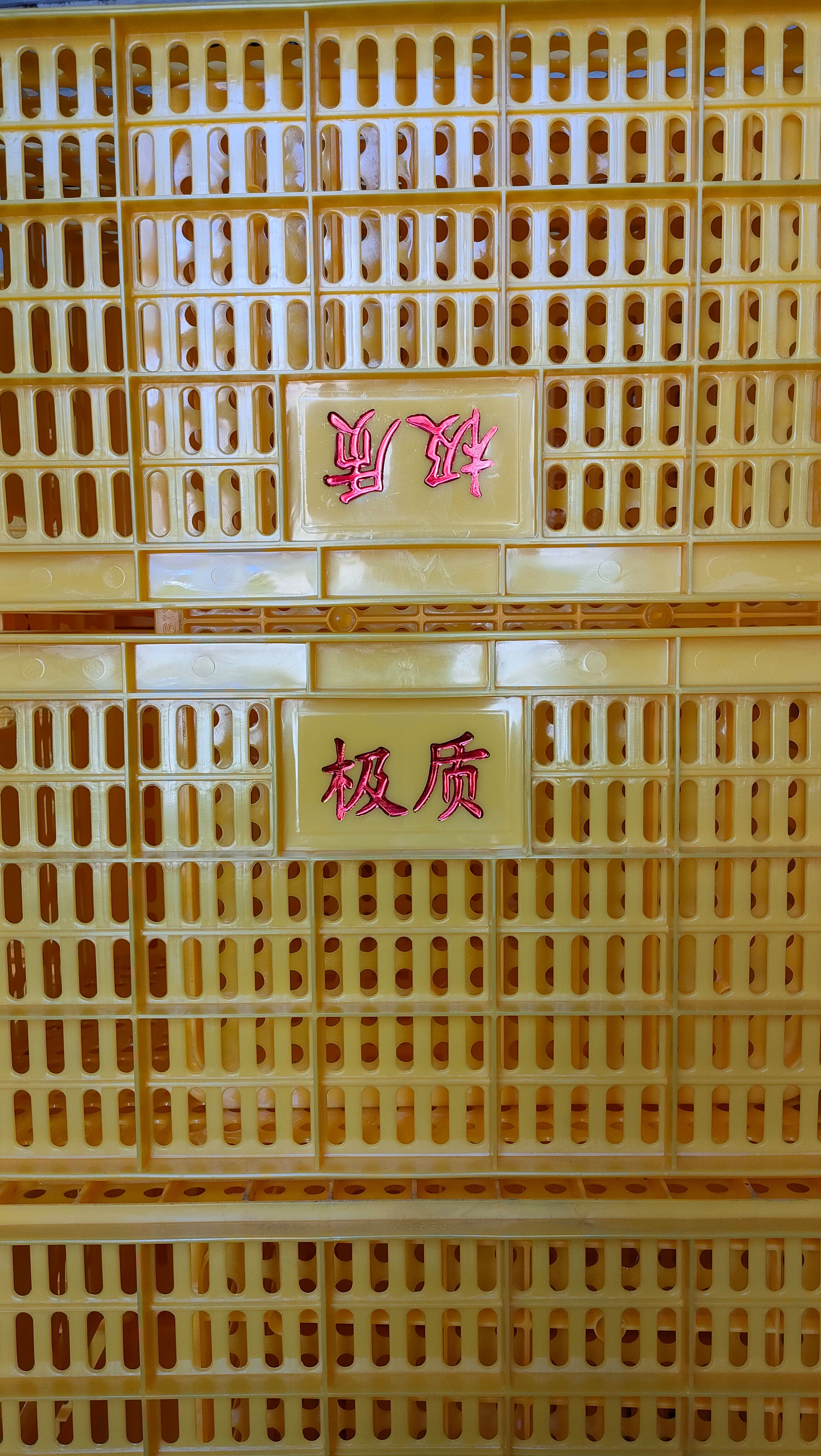 塑料筐  全新熟料打造蔬菜，水果，鸡鸭运输周转箩筐，厂家直销欢迎订购。