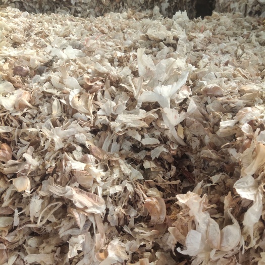 金乡县牛羊草料  养殖牛羊  秸秆饲料  常年提供大蒜混合皮