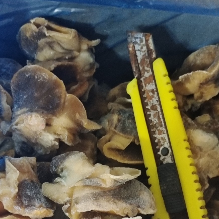 香螺肉，香螺肉，猫眼螺肉！