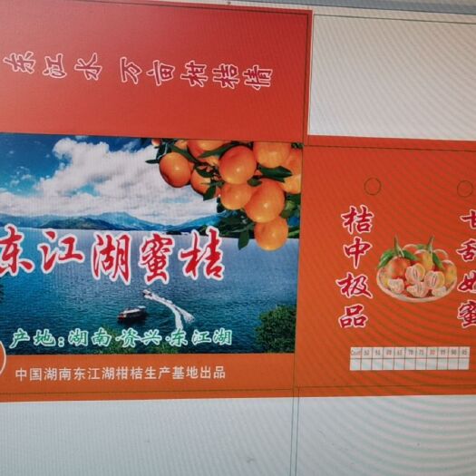 资兴市蜜桔  东江湖蜜橘