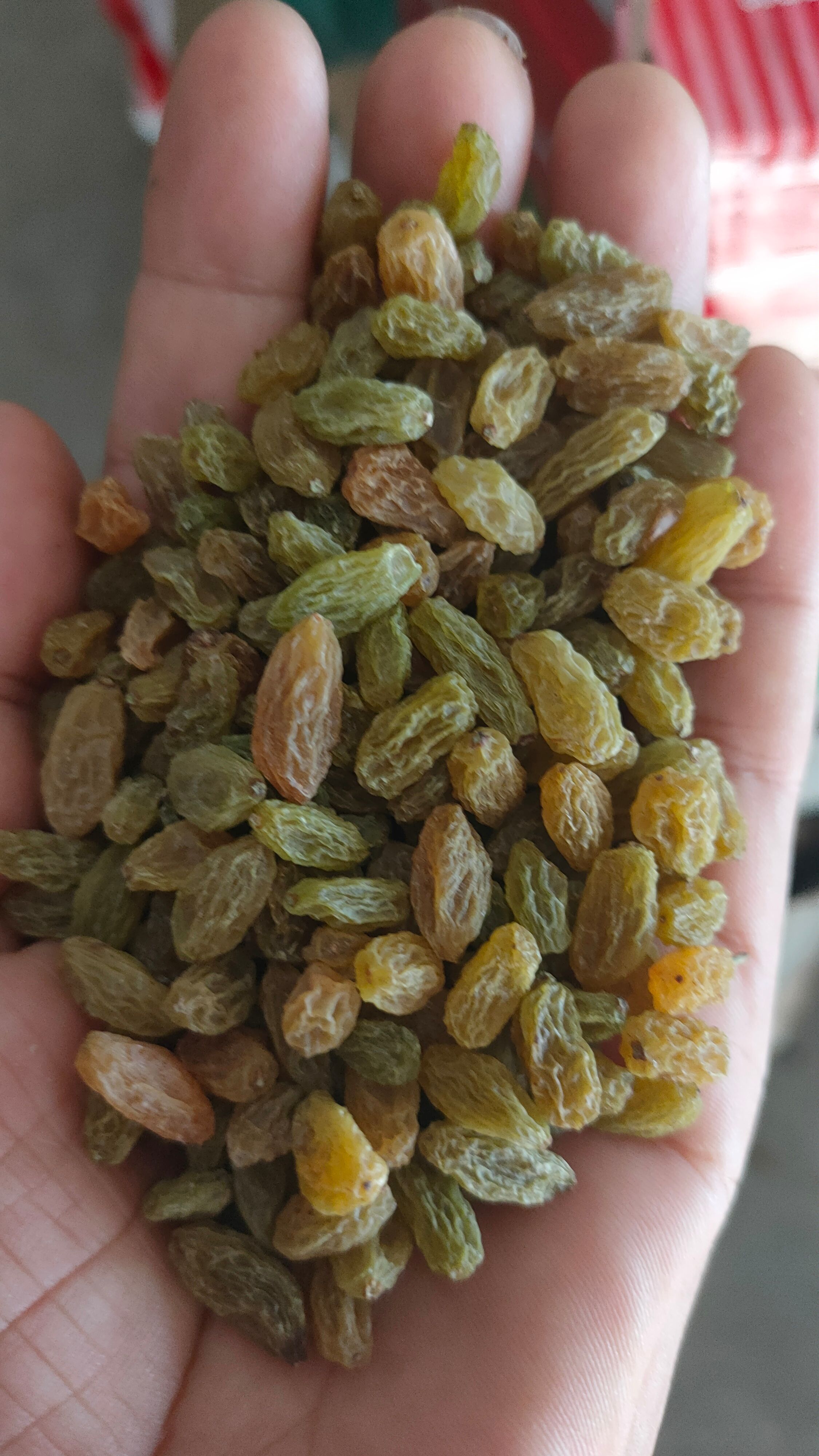 吐鲁番绿葡萄干  小颗粒绿宝石葡萄干加工厂个点心厂用  小珍珠绿黄