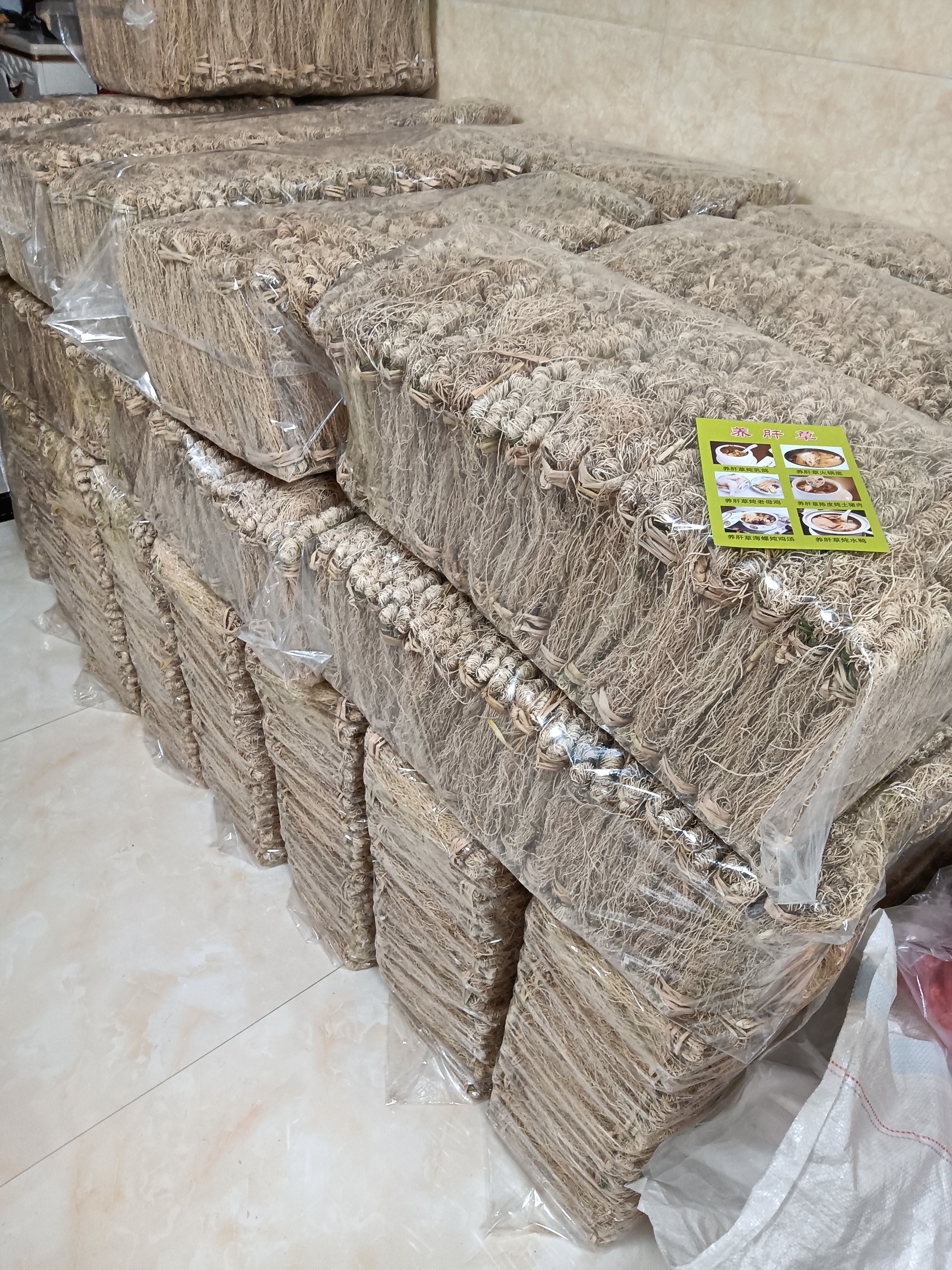 养肝草龙须草种植大户追求品质一手货源一年四季现挖现卖新鲜