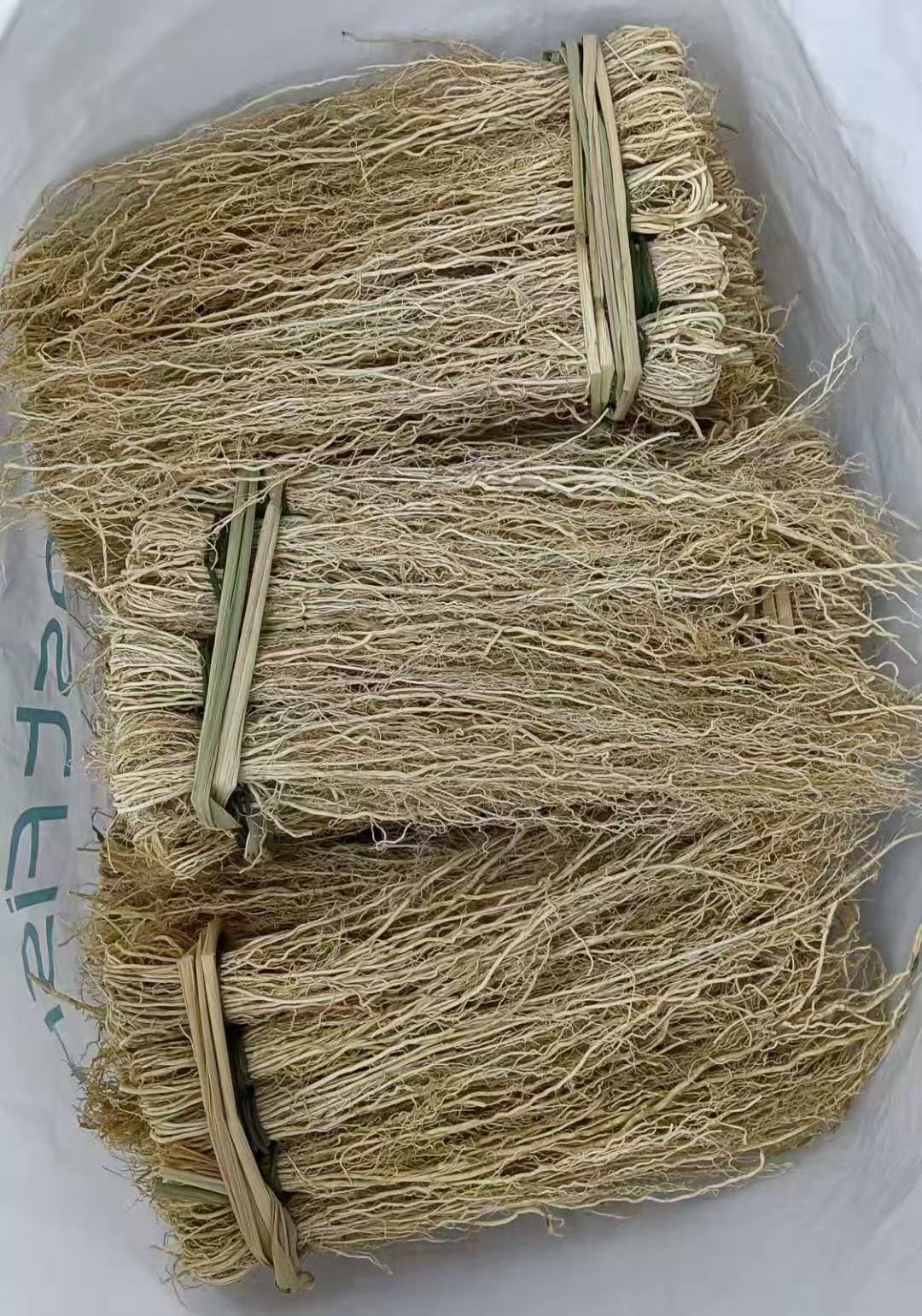 养肝草龙须草种植大户追求品质一手货源一年四季现挖现卖新鲜