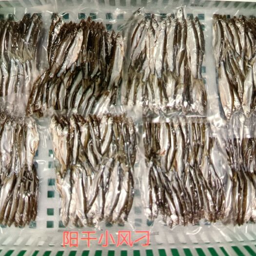 宜昌刁子鱼干 6-12个月 